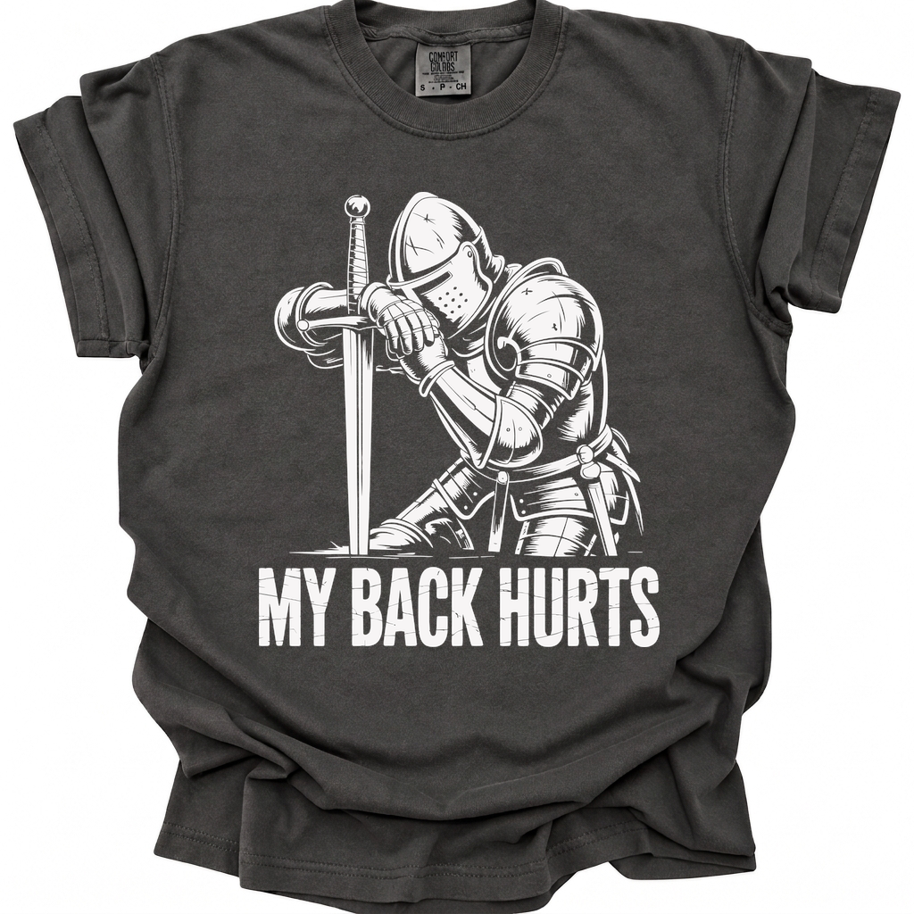 Back Pain Paladin T-Shirt - Pepper